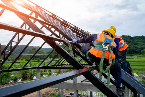 Best Gutter Installation and Roofing  in Campbell, MO
