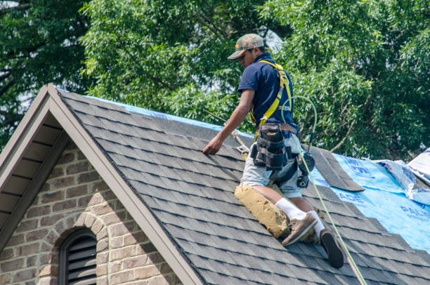 Best Commercial Roofing Services  in Campbell, MO